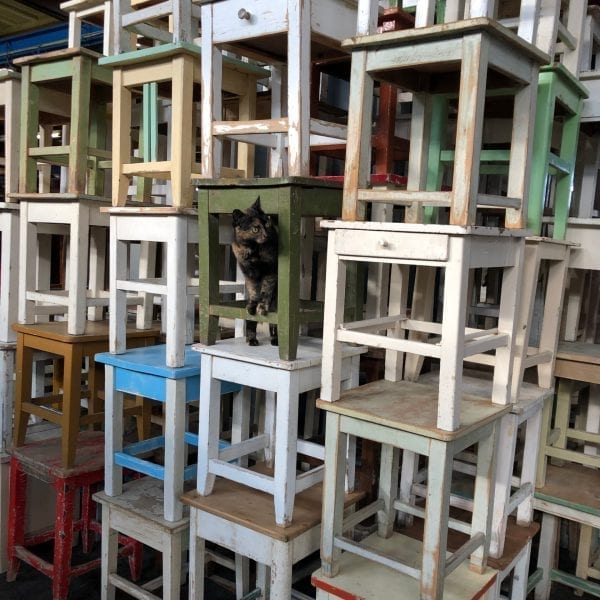 Dolly-Hocker