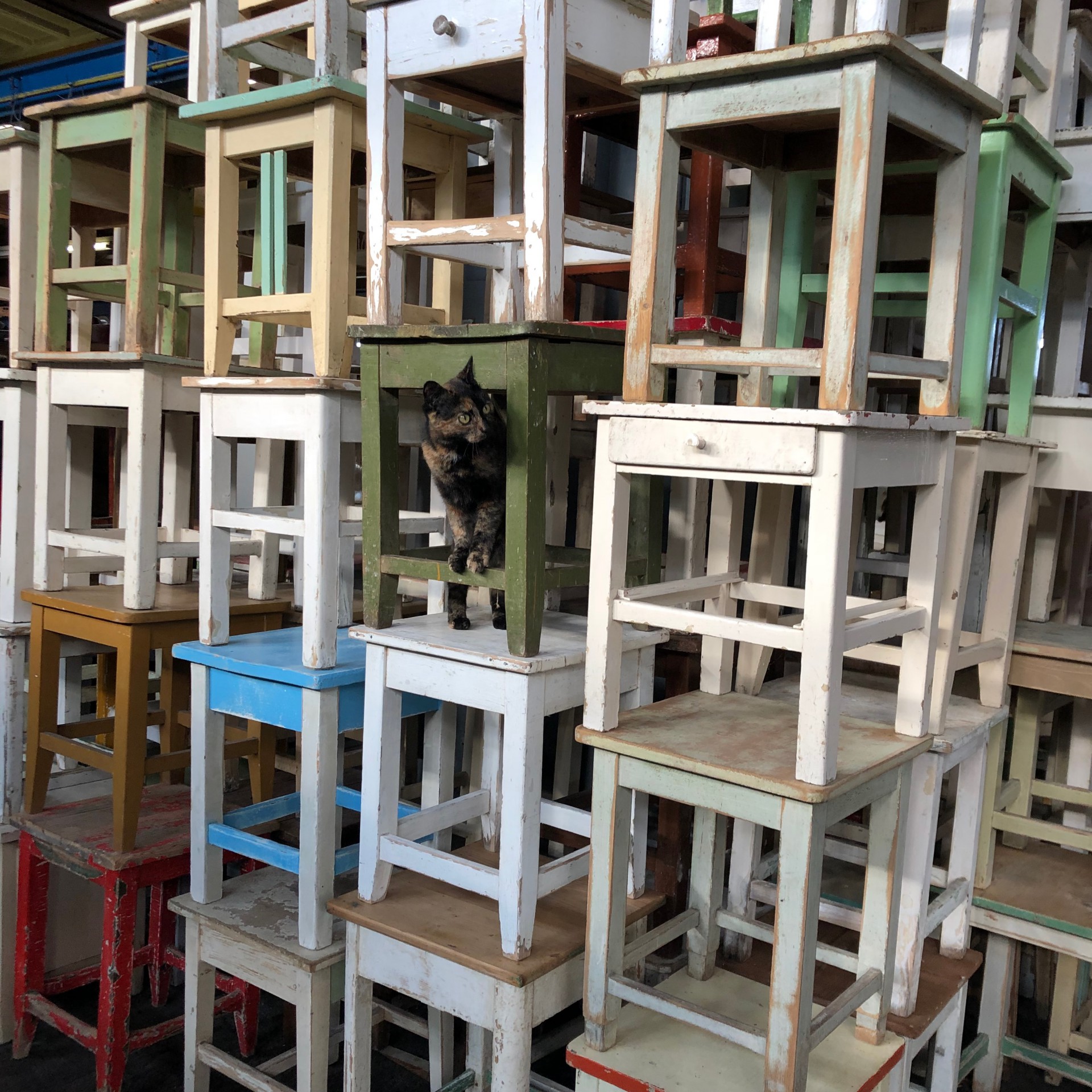 Dolly-Hocker